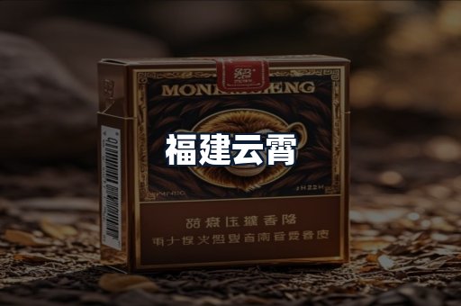 福建云霄